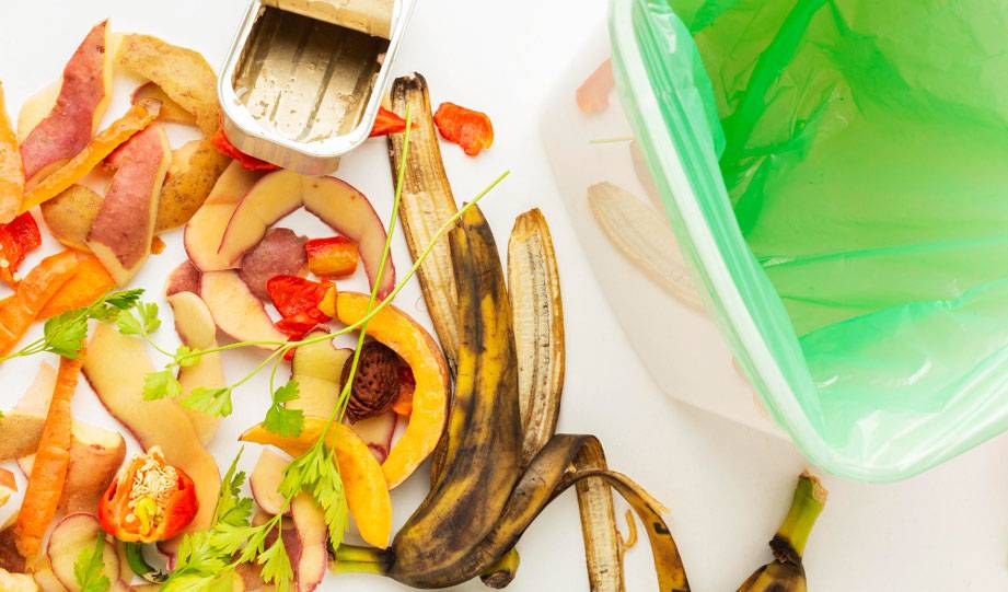 Recycling Kitchen Waste Becomes the Next Green Thing