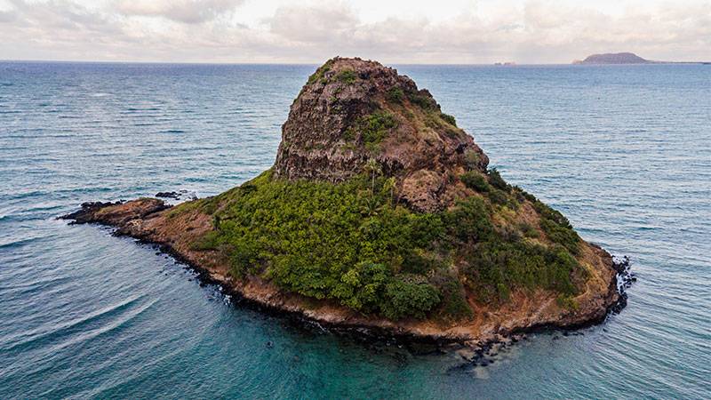 Redonda's Remarkable Journey from Barren Rock to Wildlife Sanctuary