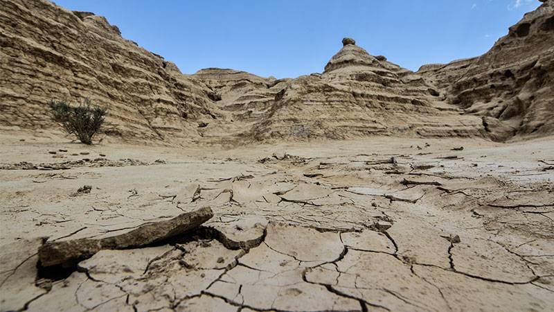 Reducing Soil Erosion