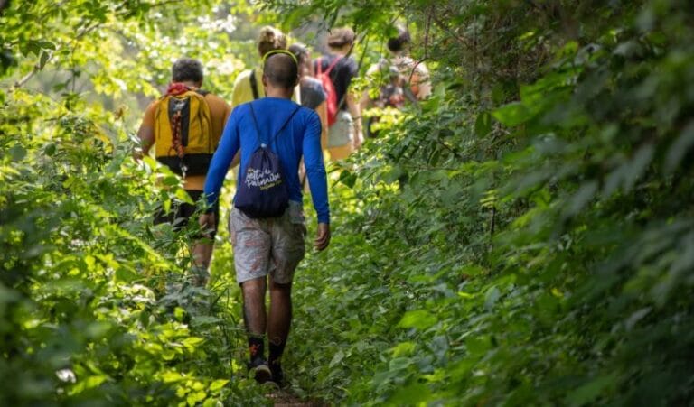 Responsible Hiking 5 Simple Ways To Be Eco-Conscious on the Trail