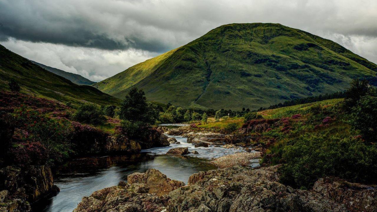 Scottish Community Initiative Raises £3.1M For Diverse Moorland Nature Reserve