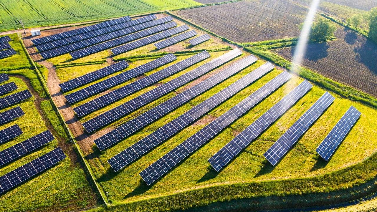 Solar Farms In Minnesota Now Grow Food Too