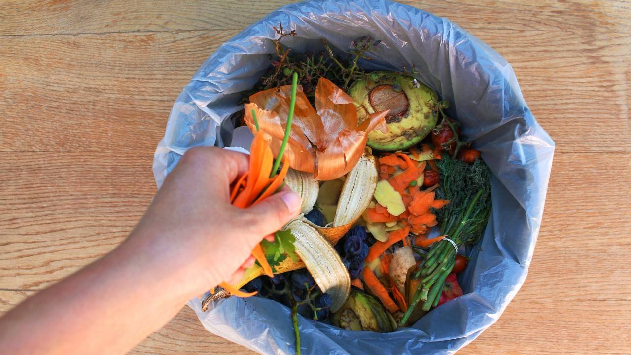 Startup Phood Solves Food Waste Problem From The Top Of The Food Chain