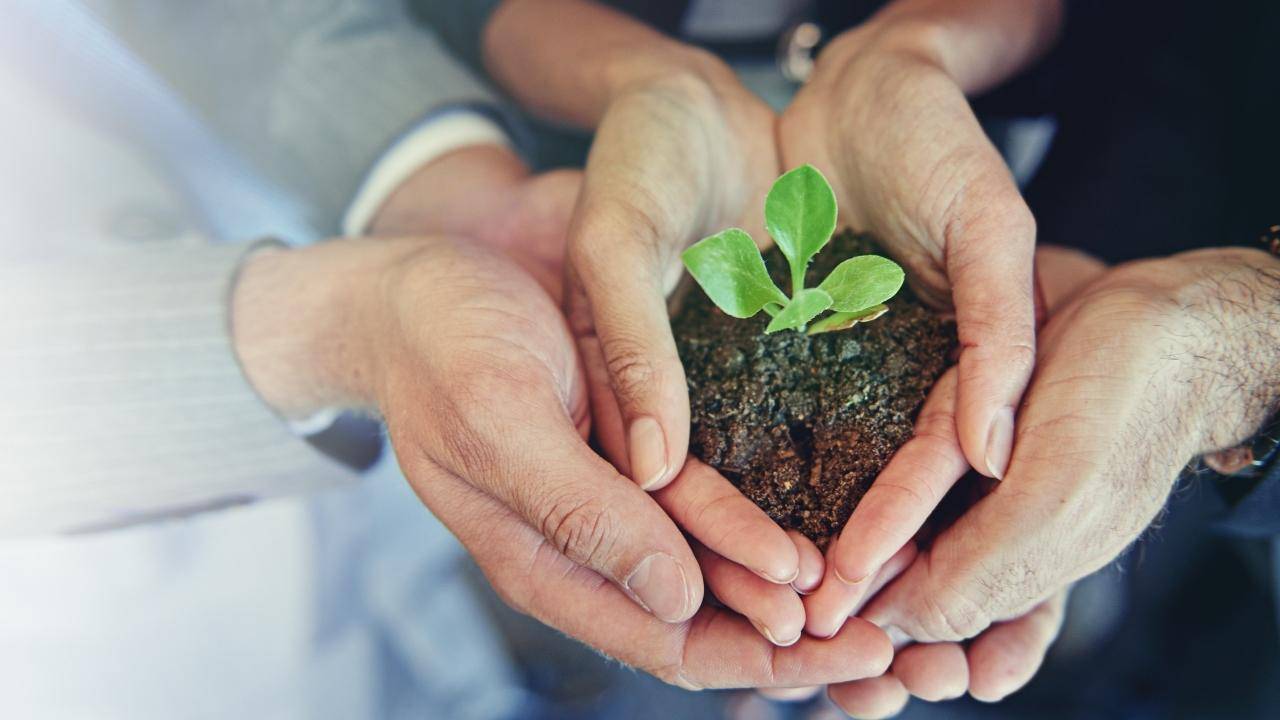 Sustainability Measures Top Business Priority