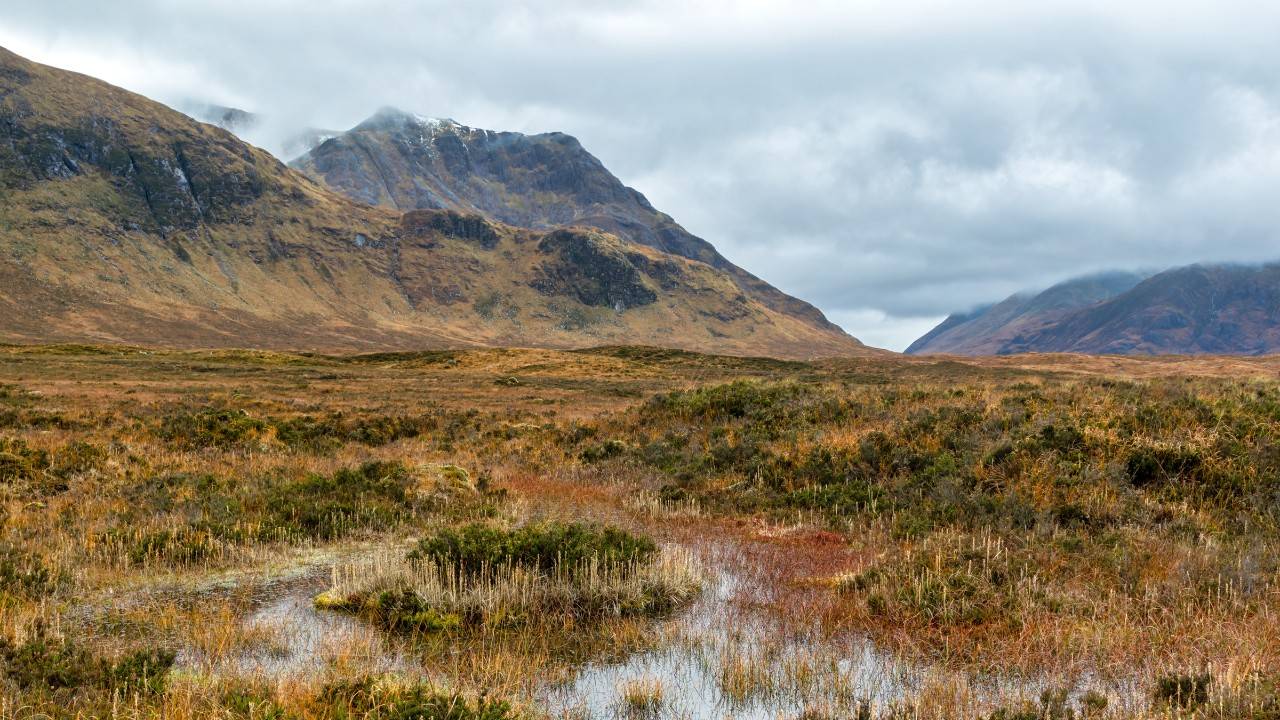 Tackling Peat Bog In Scotland To Help Reduce Emissions