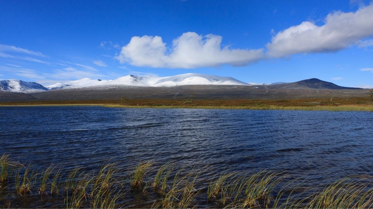 U.S. Abandons Trump-era Policies for Arctic Alaska Oil Reserve