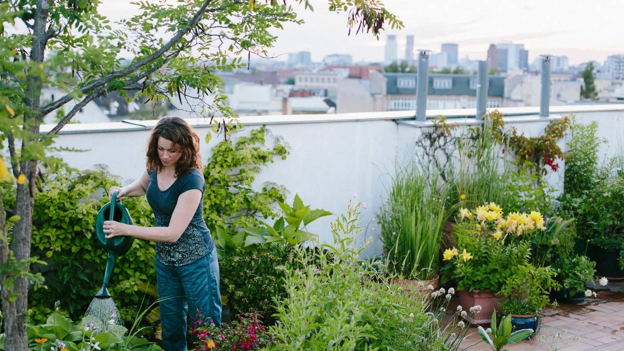 The Future Of Urban Farming Is On The Roof Of A Thai University