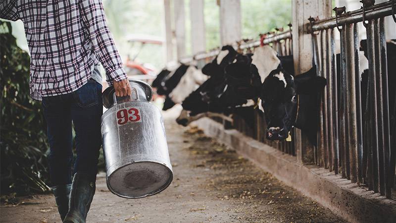 The Impact of Dairy Farming on the Environment