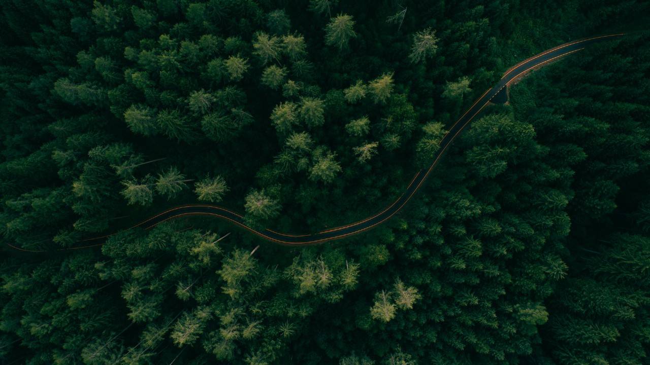 The Town Of Arlington In Vermont Plans To Buy Land For Forest