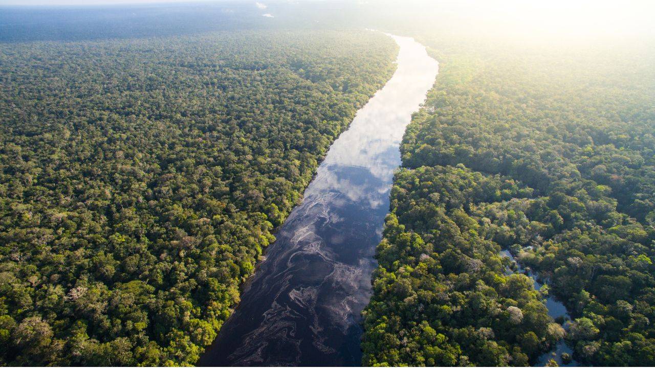 These Women Warriors Are Protecting the Amazon Forest