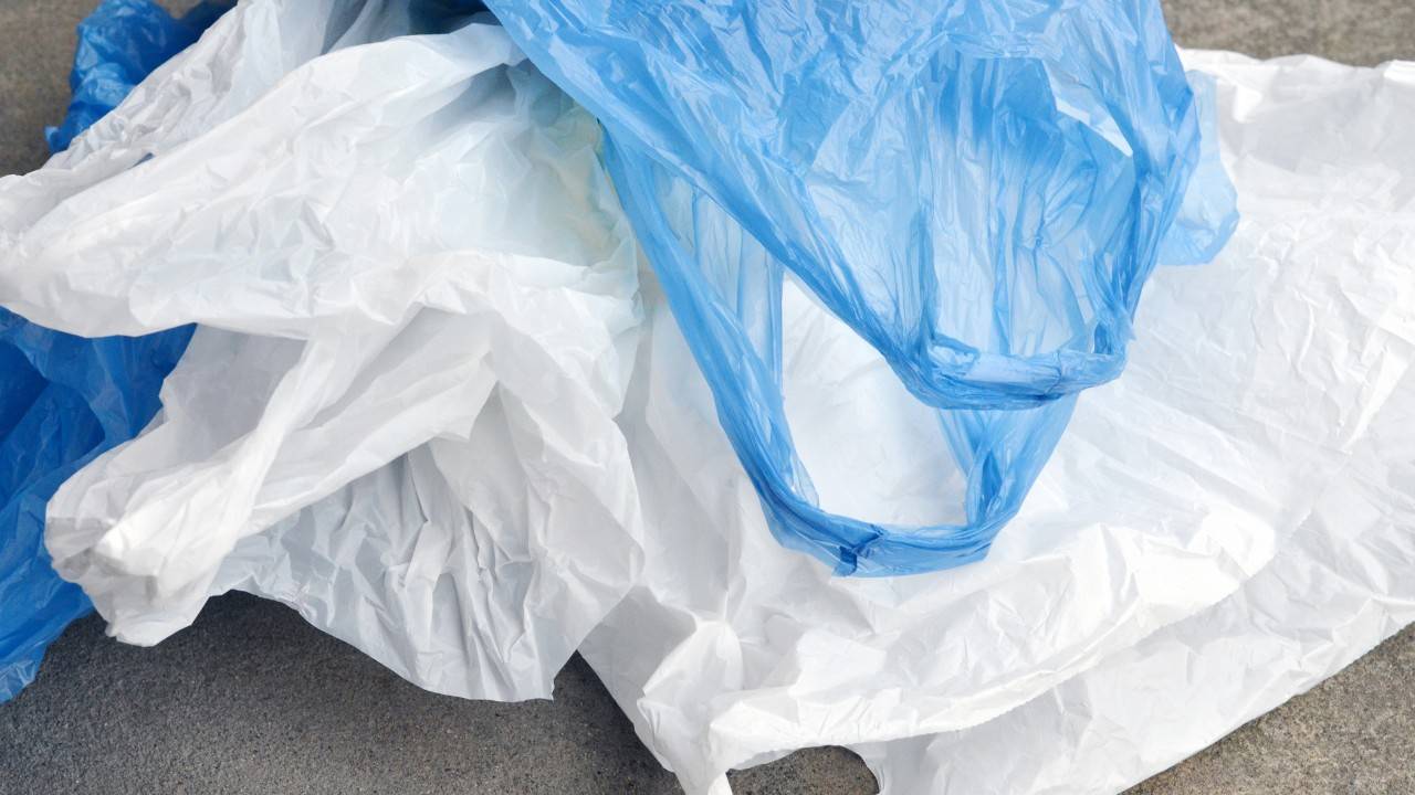 This Could Be The End For Plastic Bags In NYC