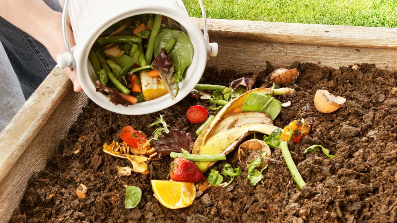 Urban Composting At A Huge Scale