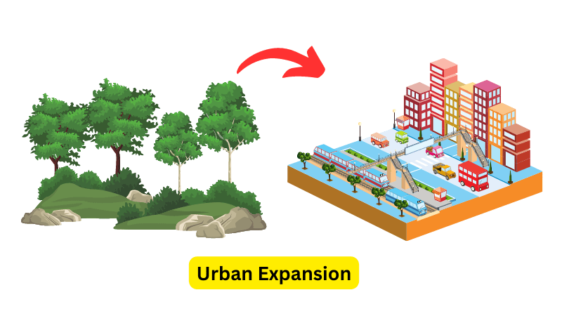 Urban Expansion human environment interaction