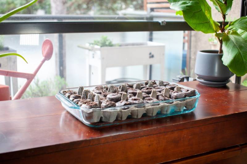 Using Coffee pods as seed starter