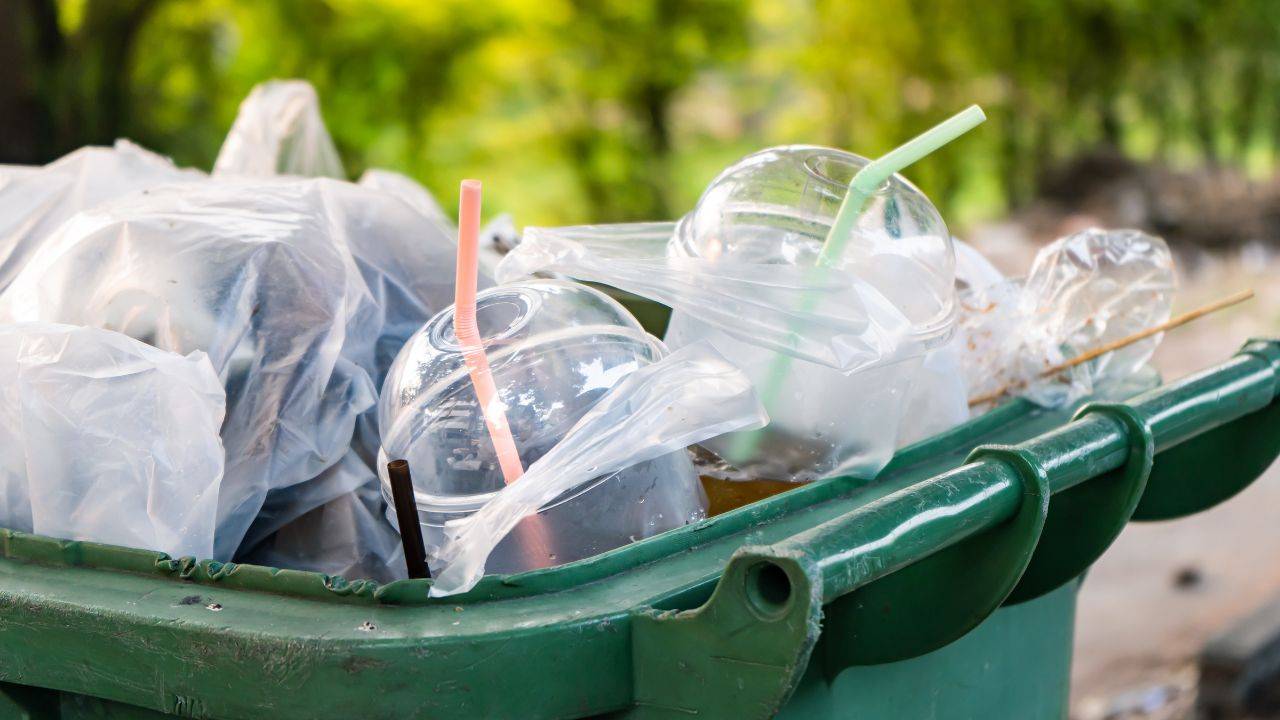 Virginia Governor Takes a Stand Against Single-Use Plastics