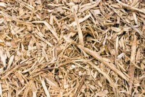 Why is Viscose Bad for Sustainability? Behind the Silky Veil - GreenCitizen