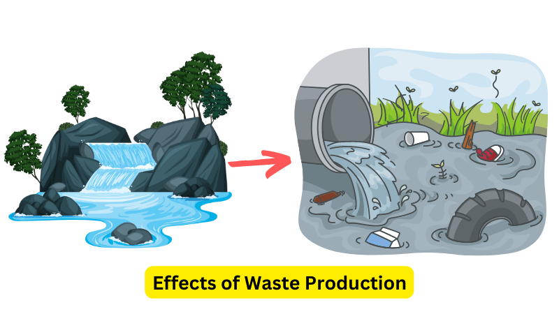 Waste Production human environment interaction