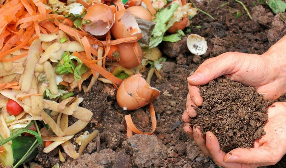 What Is Organic Compost?