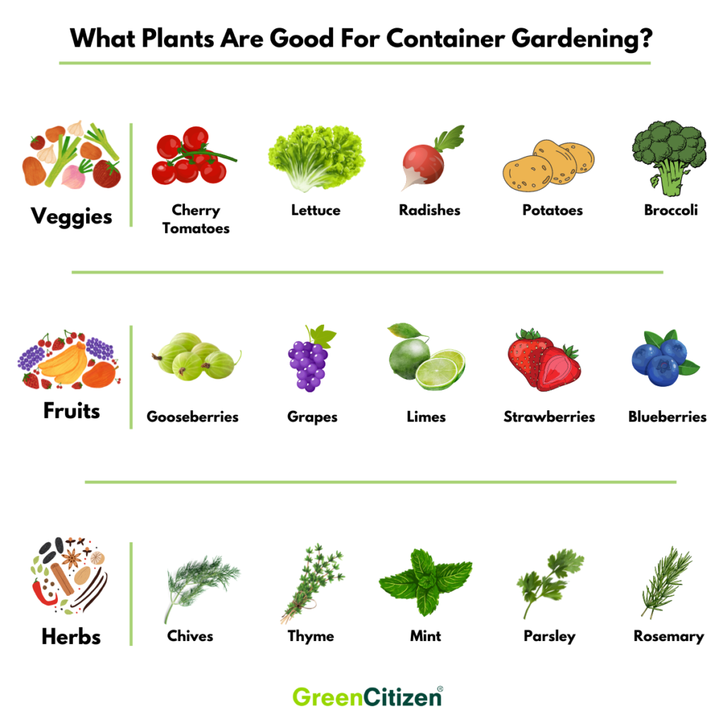 What Plants Are Good For Container Gardening