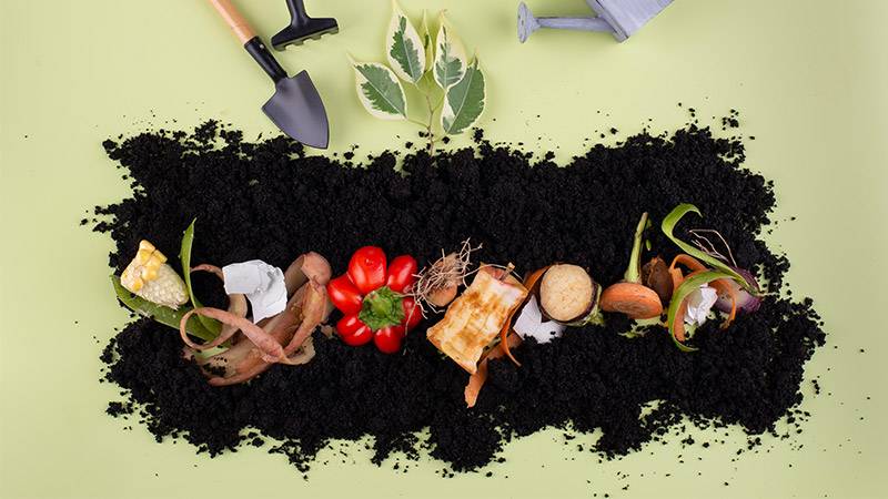 What You Can and Can't Compost In Your Backyard