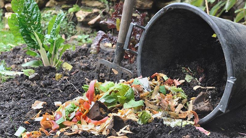 Why Compost In Your Backyard