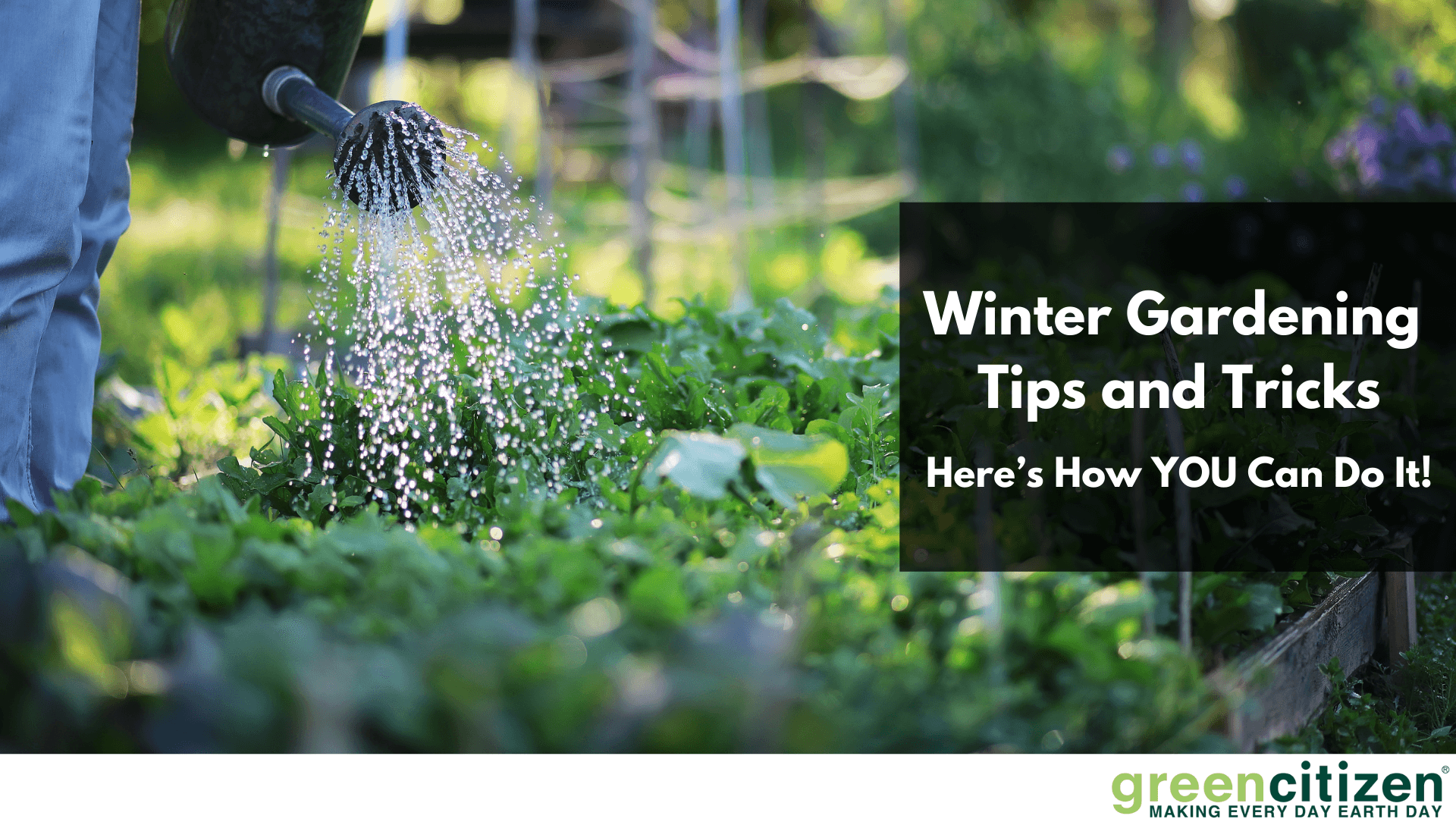 Winter gardening