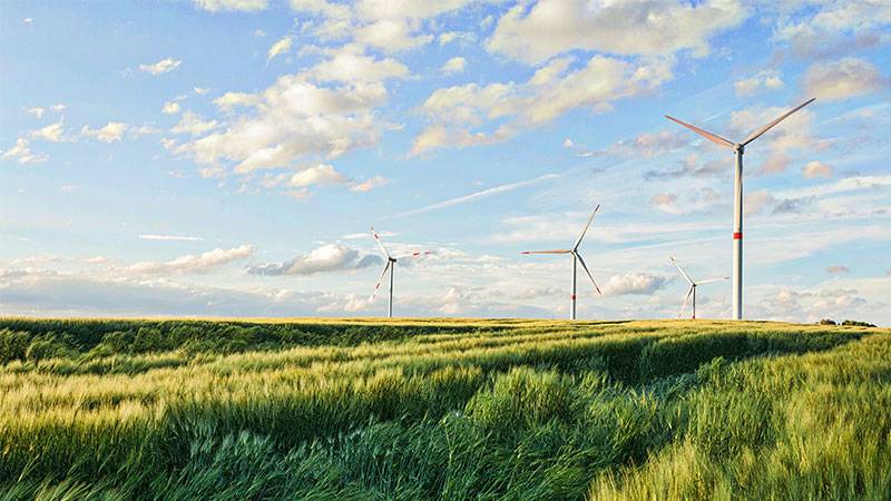 Wooden Wind Turbines Transform Renewable Energy Landscape