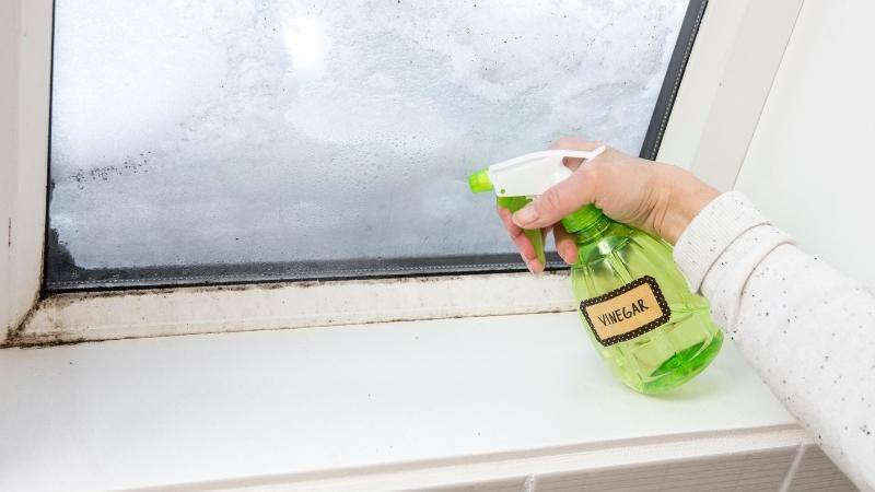 baking soda and vinegar mold cleaning