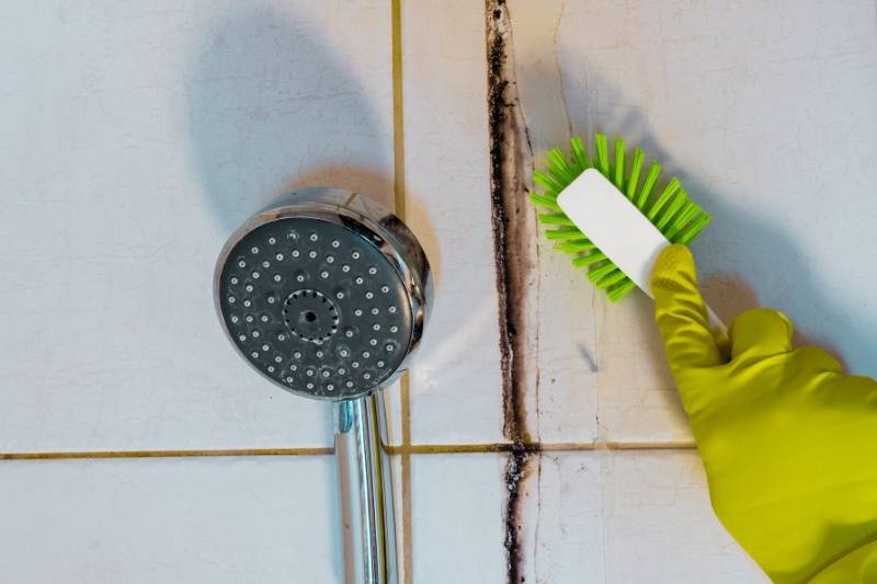 cleaning mold from bathroom tile