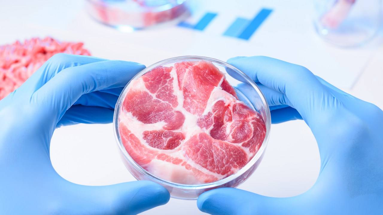 lab grown meat