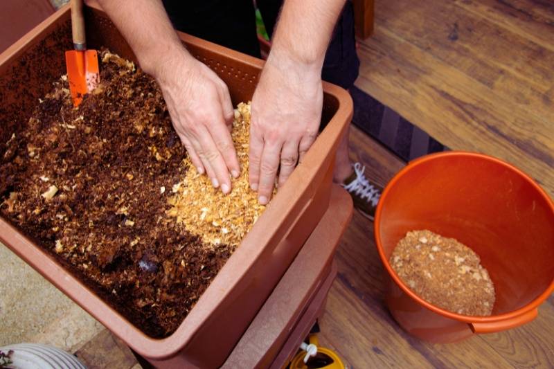 maintaining worm composting bin