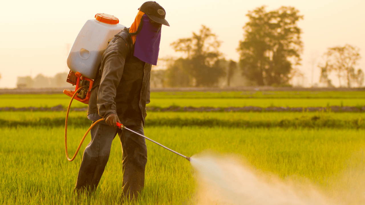 Toxic Pesticide Chlorpyrifos