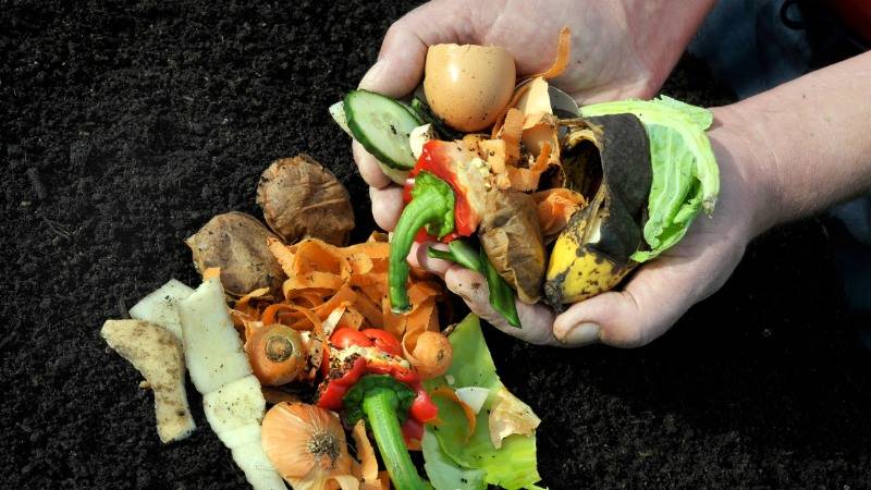 starting a composting pile