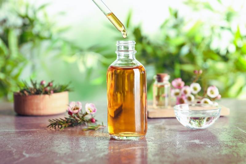 tea tree oil for killing mold