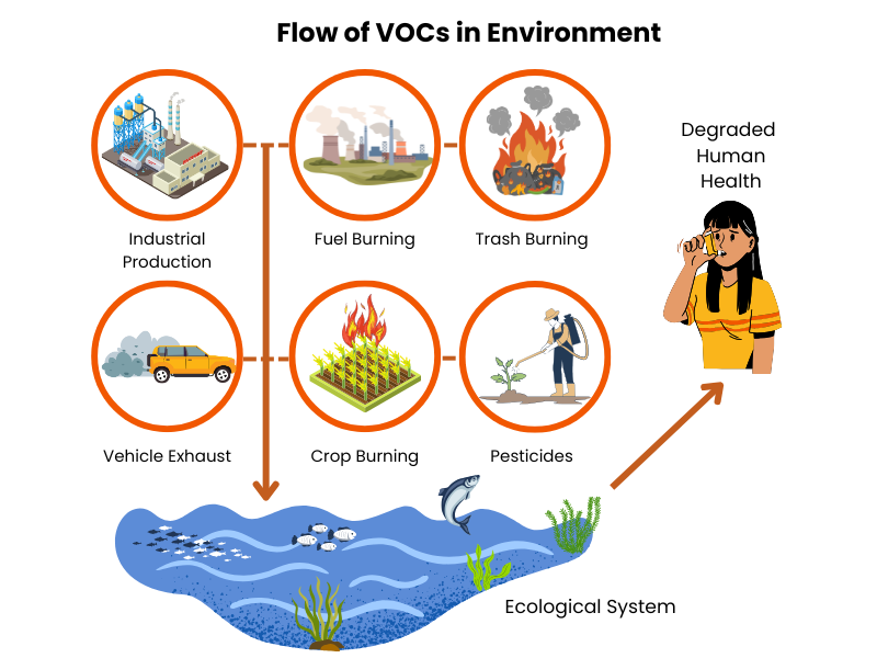 Flow of Volatile Organic Compounds VOCs