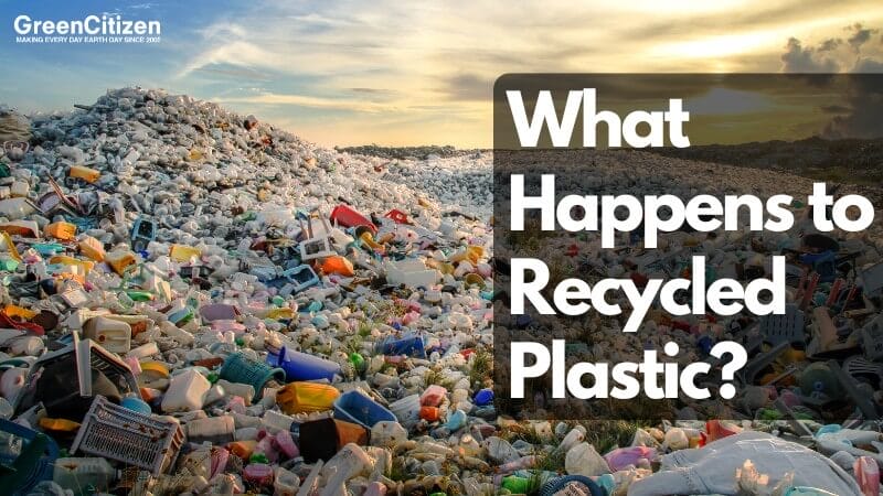 What Happens to Recycled Plastic