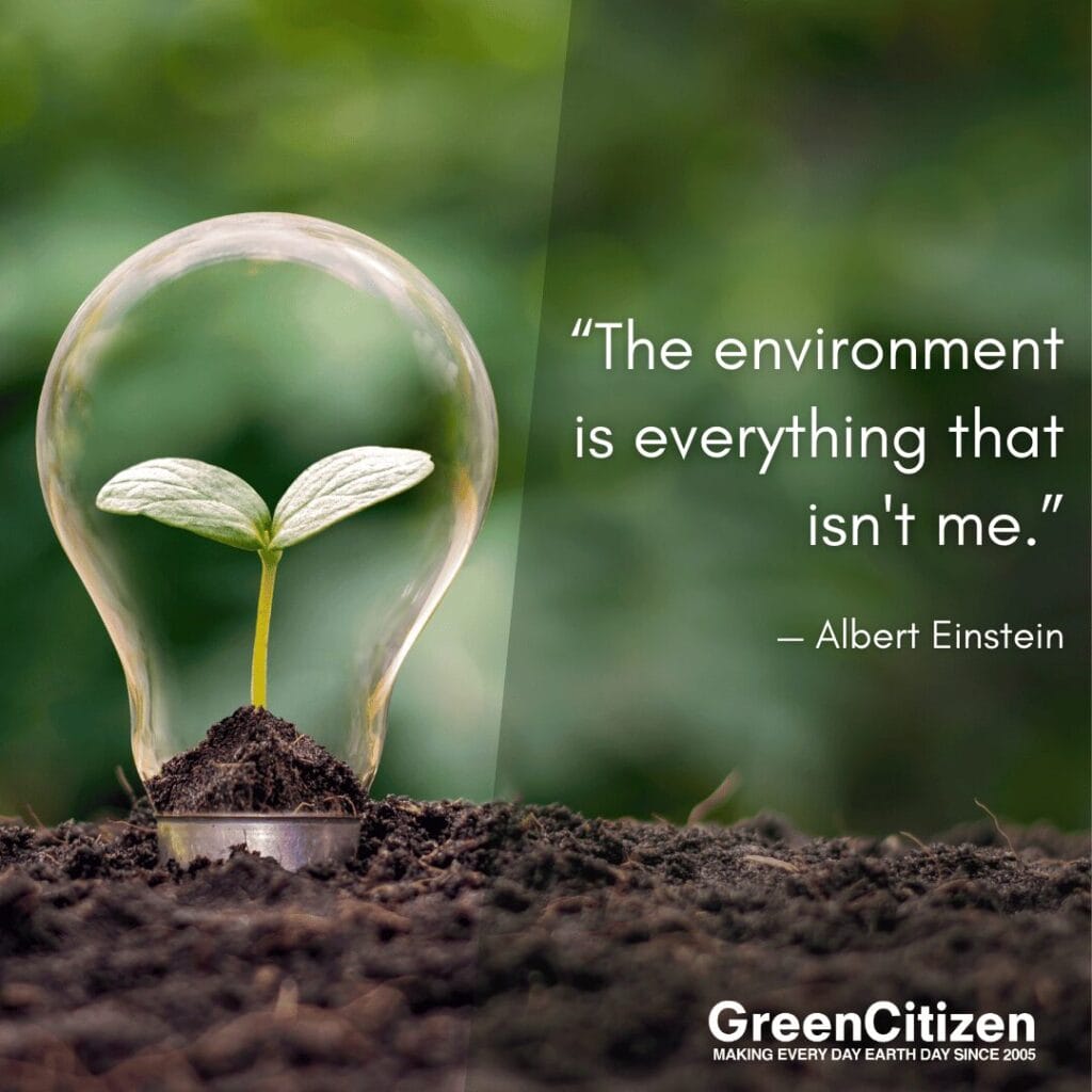 Earth day quotes - Albert Einstein