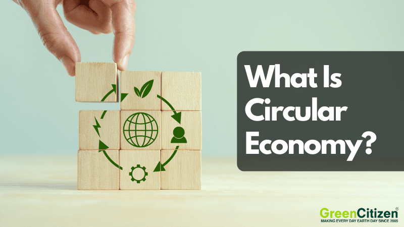 What is Circular Economy