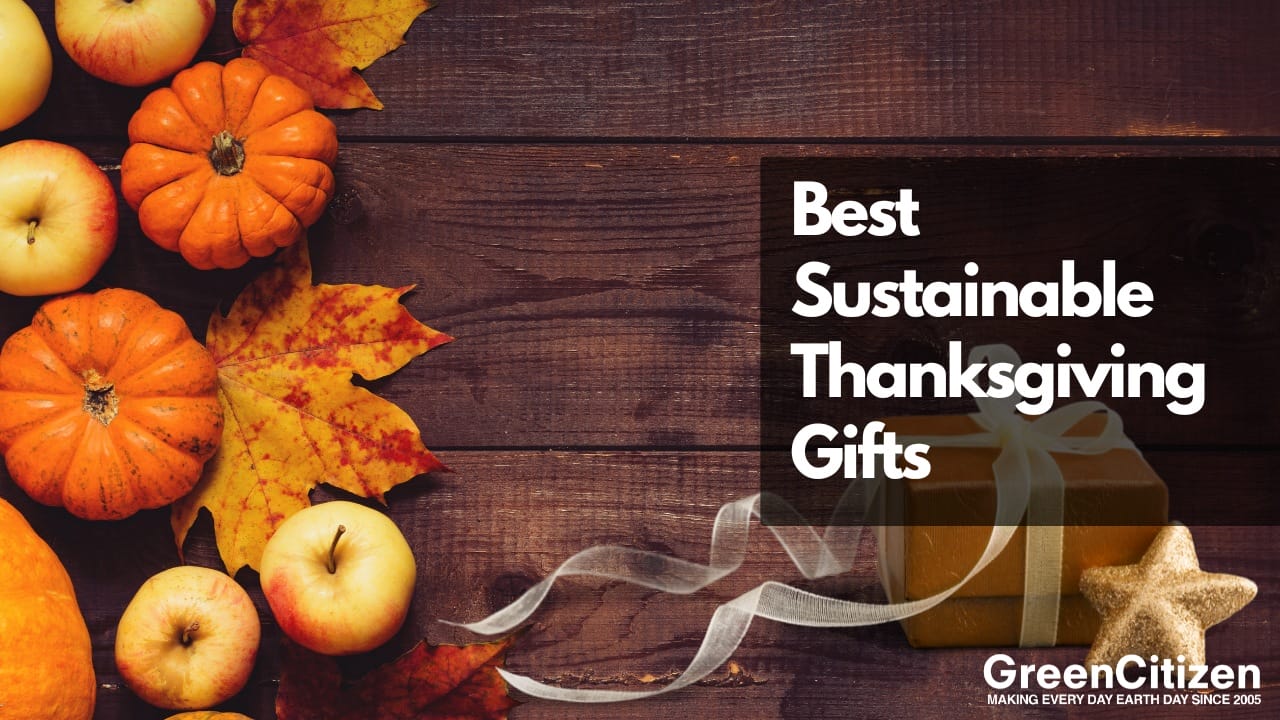 Sustainable Thanksgiving gifts
