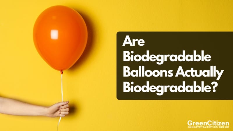Biodegradable Balloons