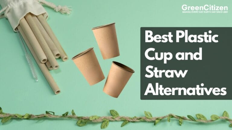 8 Best Plastic Cup and Straw Alternatives for Parties & Everyday Use