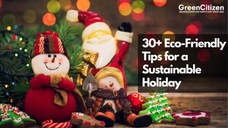 Eco-Friendly Tips for a Sustainable Holiday