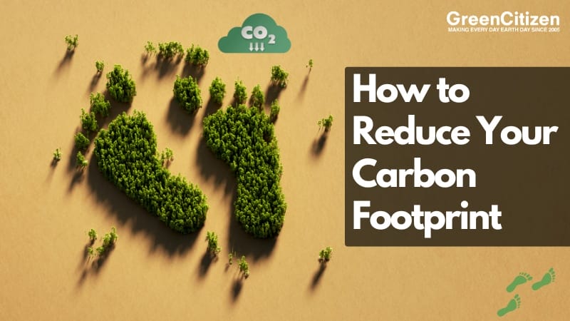 How to Reduce Your Carbon Footprint