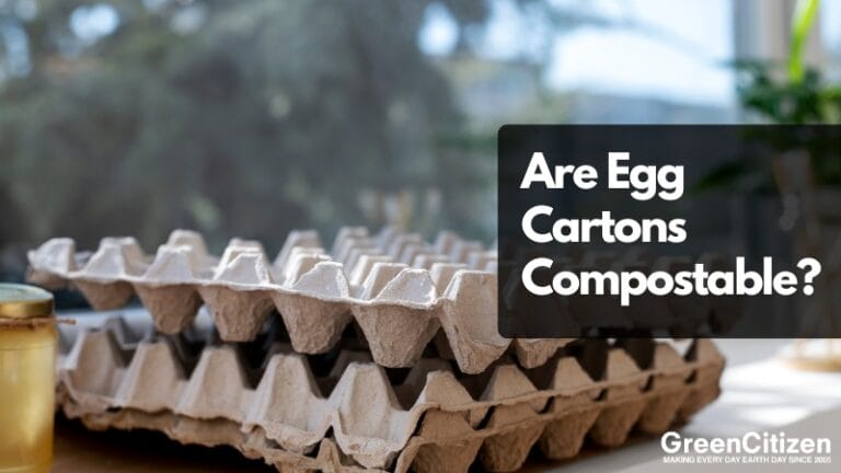 Are Egg Cartons Compostable