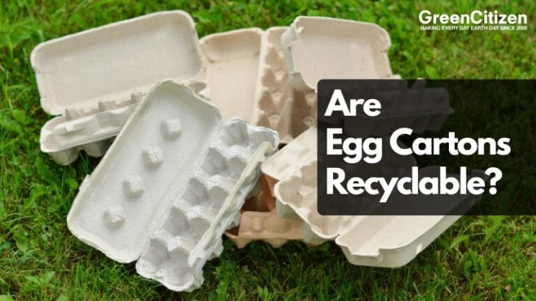 Are Egg Cartons Recyclable