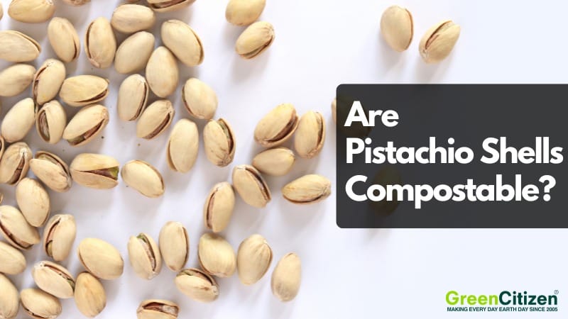 Inspiring Are Pistachio Shells Compostable Images