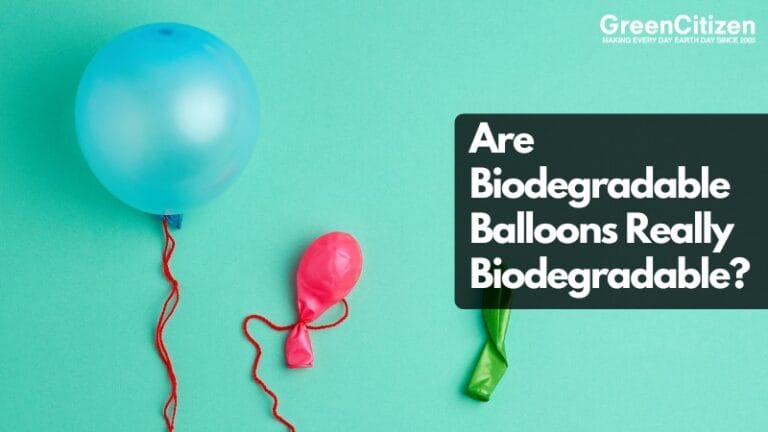 Biodegradable Balloons