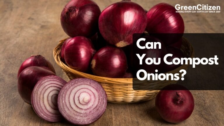 Can You Compost Onions
