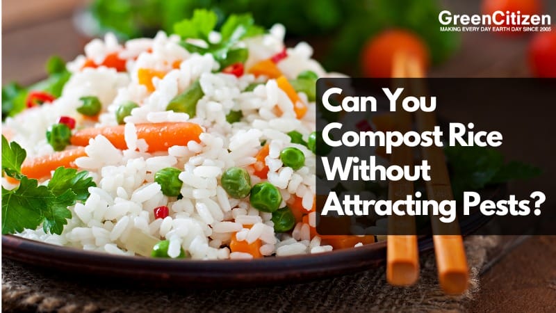 Can You Compost Rice
