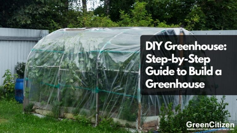 DIY Greenhouse